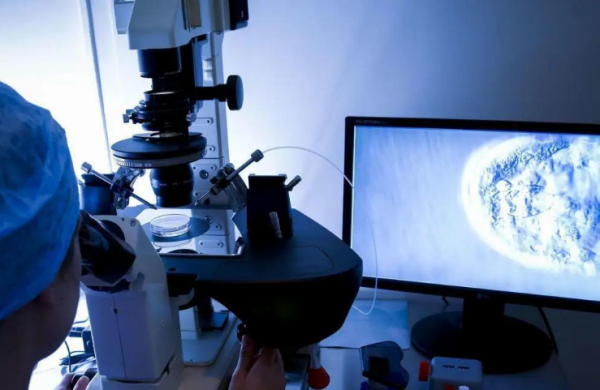 试管观察胚胎形态需要多久、检查多少次?