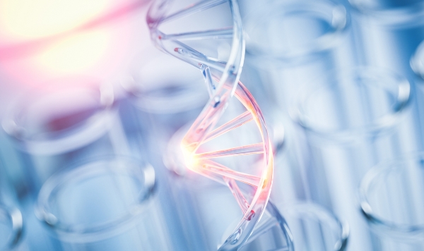 女性几号染色体缺失不会影响怀孕 女性几号染色体缺失不会影响怀孕