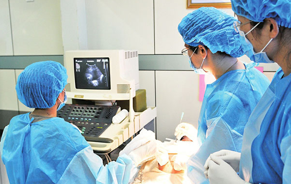 移植前不一定要做胚胎预移植术,最佳手术时间有要求?