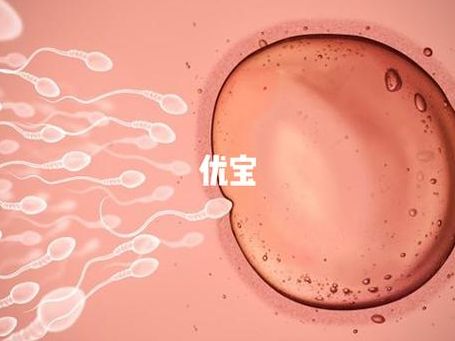 备孕可以吃布洛芬吗？排卵期乱吃可能影响卵泡破裂，先确认这3步