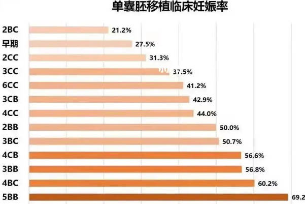 三级囊胚的着床率可以达到40%
