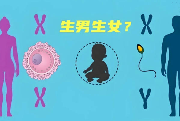 清宫表推测男女的准确率不高