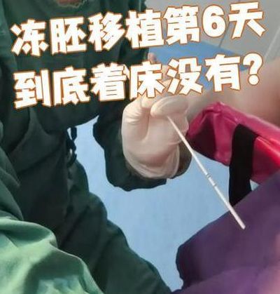 冻胚移植多久能着床成功？囊胚2天内速战速决PK卵裂胚还需等3到5天