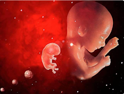 小排畸检查可以看胎儿发育是否畸形