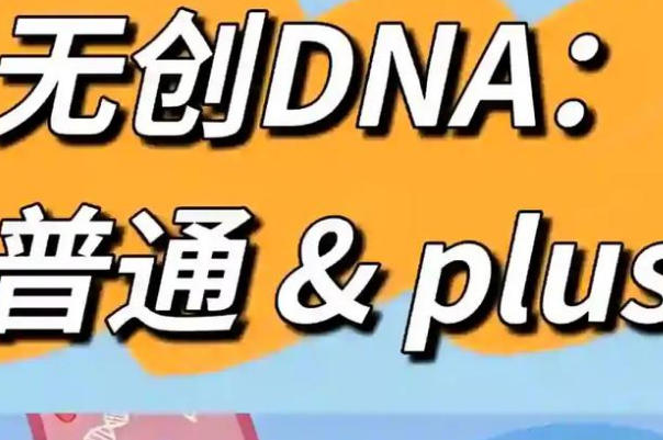 无创和无创plus检测的项目不同