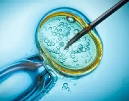 鲜胚移植要2周左右验孕