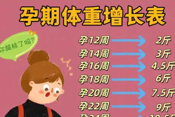 孕期27周到36周期间胎儿生长最快