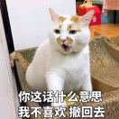 W头像
