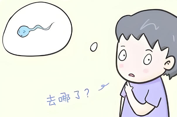 中度少精者可以选择第二代试管