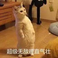 试管婴儿交流群用户头像