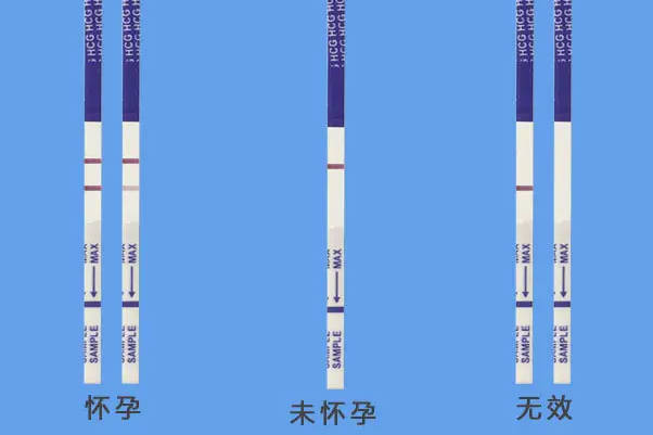 验孕棒上出现两条线说明怀孕了