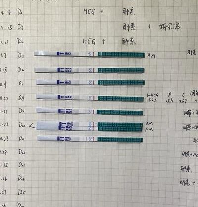 环孢素对胚胎移植的作用，我亲测后想说说真心话