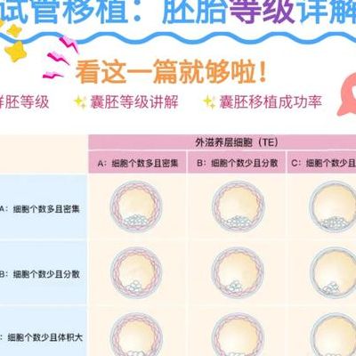 试管鲜胚和囊胚移植宫外孕概率比自然怀孕低，鲜胚略高囊胚更低