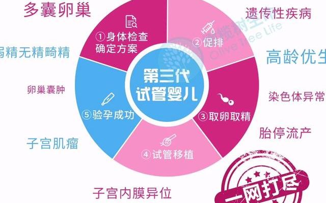 三代试管成功率可观可以,也能做违法吗？先弄清这三个问题