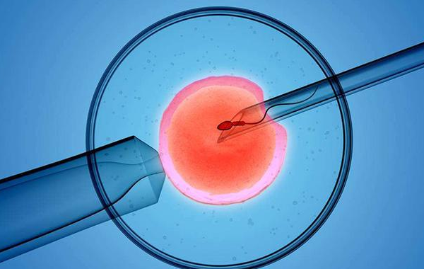 二代试管配的都是三级胚胎是因为精子问题?