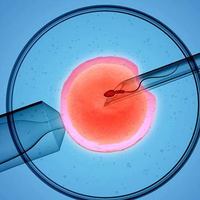 二代试管配的都是三级胚胎是因为精子问题?