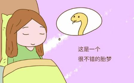 女人梦见蛇是不是快怀孕了