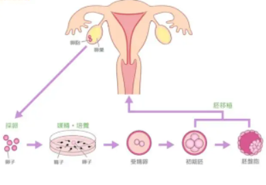 话题图标