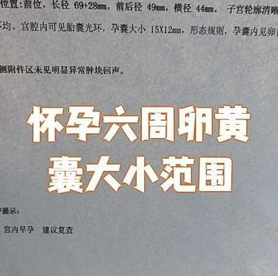 有卵黄囊成功概率多大?活产数据达到90%但有个前提