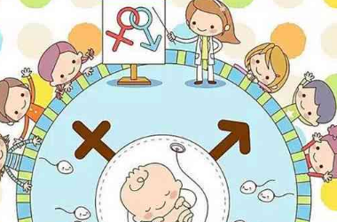 泰国试管婴儿可以选择男女，可以详细说说吗?
