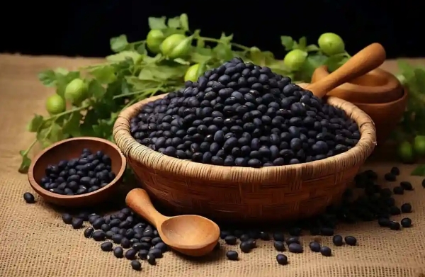 黑豆浆对卵泡发育有帮助吗？专家来解答