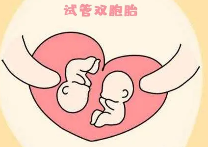 试管婴儿可以做双胞胎吗.png