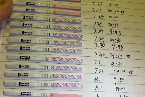 排卵试纸完整一个月可以预计排卵日