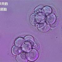 北京三代试管助孕医院排名，我跑了半年后的真实感受