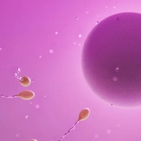 单身女性可以做试管婴儿吗？专家全面解析来啦！