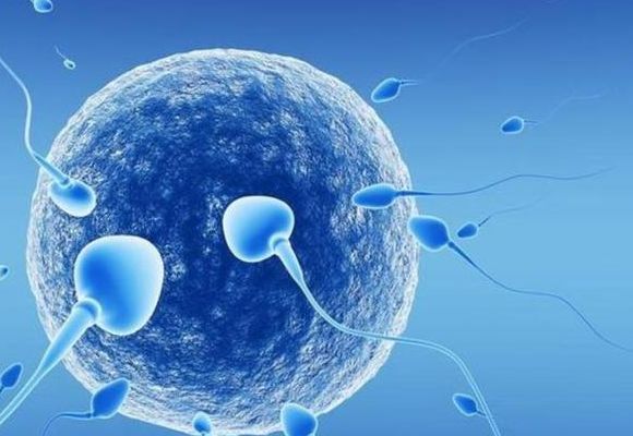 人工受和试管婴儿有差别吗_我两次人授一次试管说点大实话