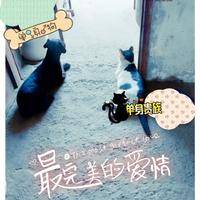 试管婴儿交流群用户头像