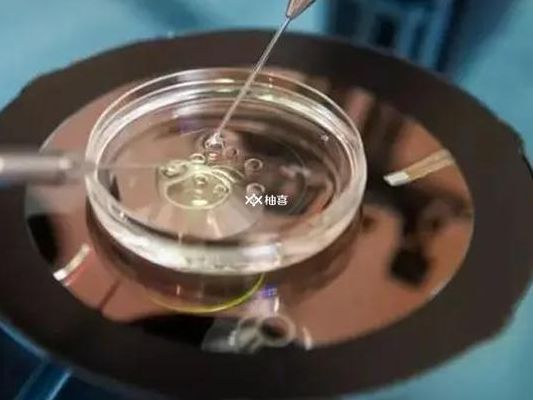 卵泡少试管成功率高吗？与卵泡多的真实成功率对比