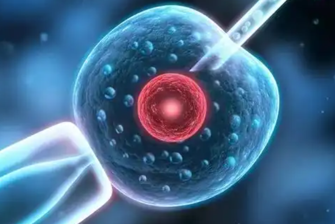移植后测怀孕不能太着急
