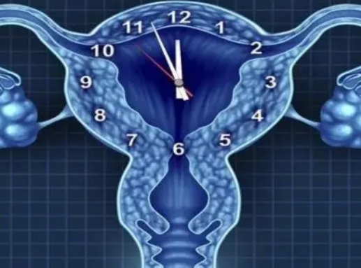 42岁卵巢早衰试管成功有多少