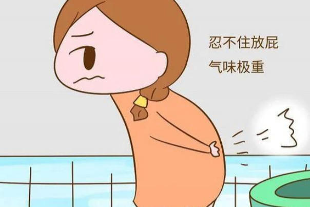 胚胎移植后放臭屁可能是正常的