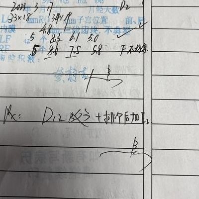 几周可以看出胎儿性别?B超和抽血时间点一次讲清
