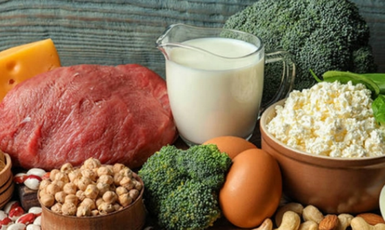 蛋白质是人体所需要的一种营养元素