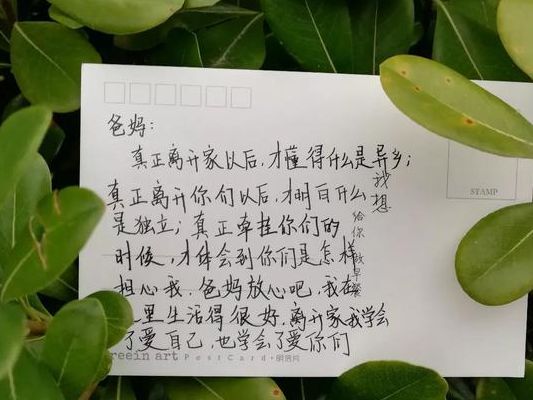卵泡发育不好适合做试管吗？36岁亲历后我想说几句