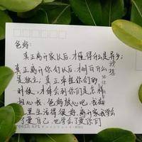 卵泡发育不好适合做试管吗？36岁亲历后我想说几句