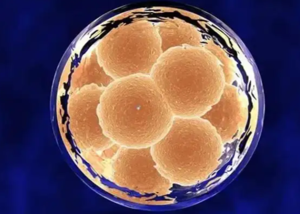 美国做试管的医院很多