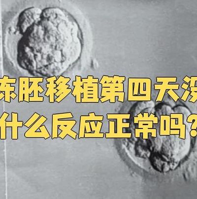 移植第四天一般会有什么感觉？大多是这几种，别自己吓自己。