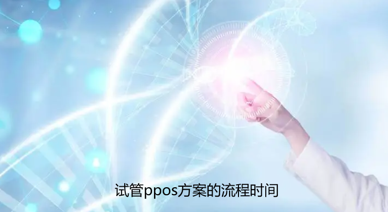 试管ppos方案的流程时间