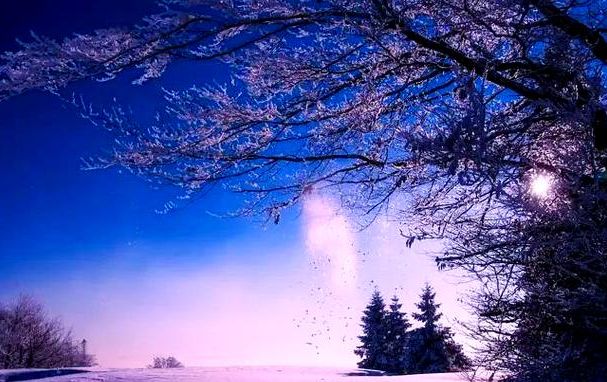 梦见下雪是什么预兆解梦：生殖科医生想让你先查的不是周公