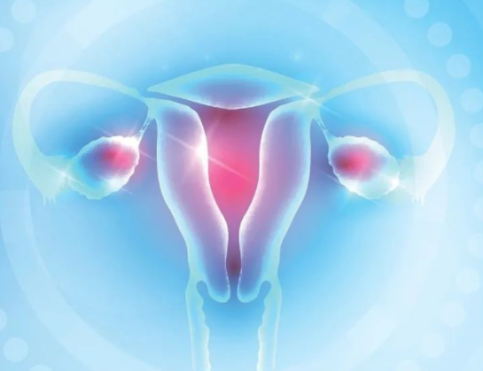 卵巢大小对试管有什么影响?