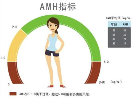 30岁女性amh值低至0.5