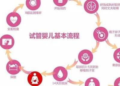 格鲁吉亚第三代试管婴儿费用多少钱？过来人帮你梳理12笔开销明细