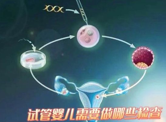 做试管营养需求真不是小事，我调理了半年才懂