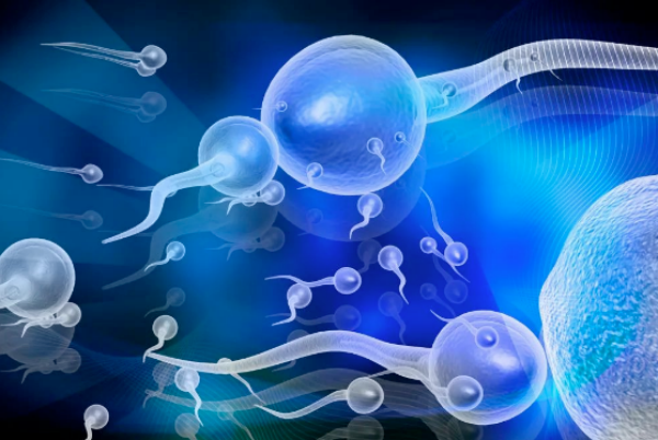 一代试管不对精子筛选精子异常无法做?