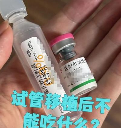 试管移植后吃什么容易着床？真正帮得上忙的饮食方案，不是喝豆浆那么简单