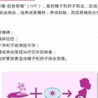 人工授精和试管的区别在哪？体内筛选还是体外优选，适应人群和花费差太多